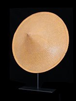 Asian conical hat 0752.th.jpg